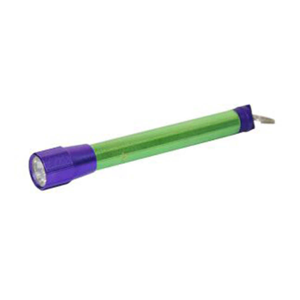 Temlum-M Bulb Torch03